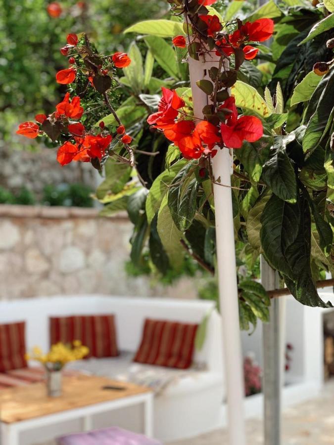 Holiday Home Ali Piqeras Luaran gambar